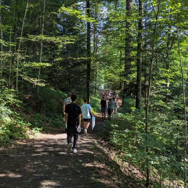 Im Wald unterwegs...