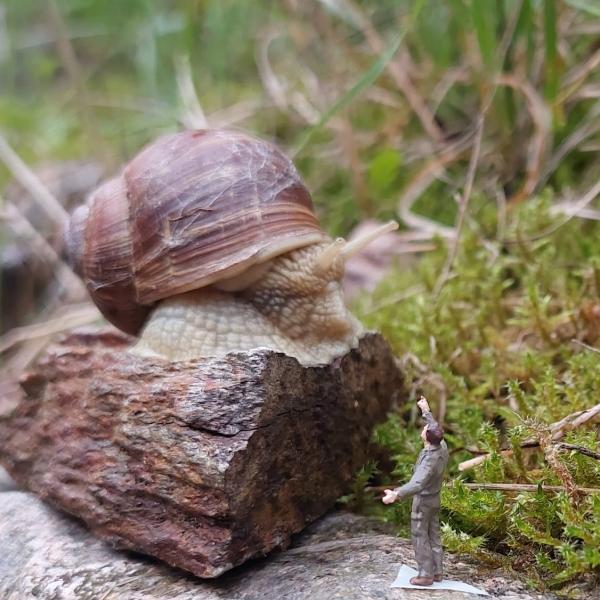 kleines Männchen vor großer Schnecke