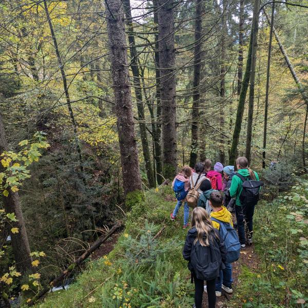 Wanderung vom Notschrei zum Steinwasenpark