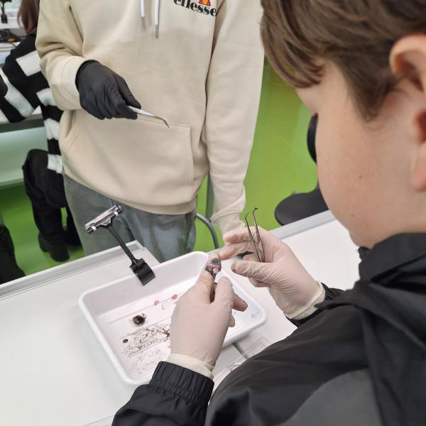 medizinisch-wissenschaftliches Modul