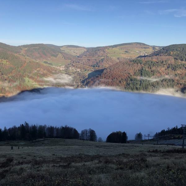 Hursten am Hasenhorn