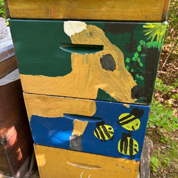 Bienenprojekt
