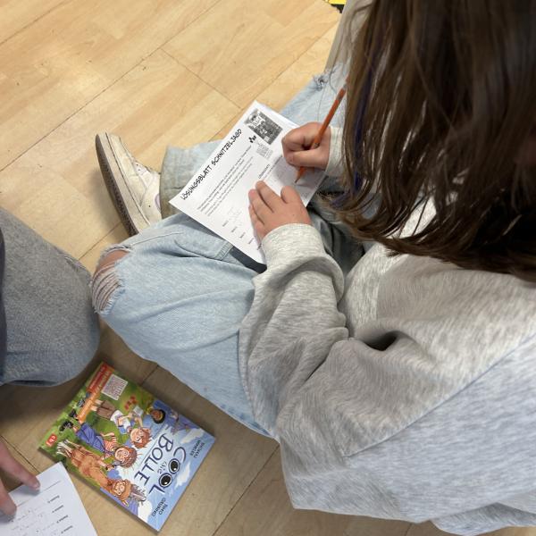 Regio-Buch Schopfheim