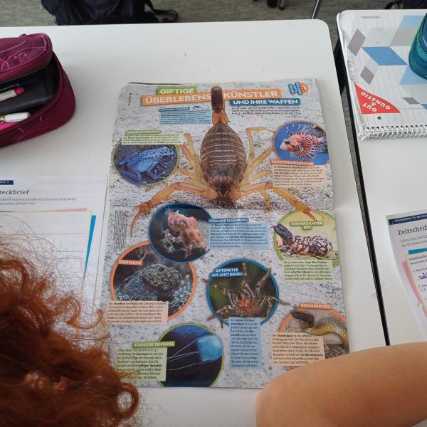 Zeitschriften in die Schulen