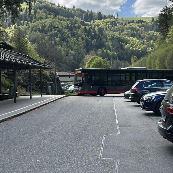 Bustraining